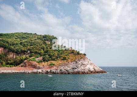 Falaise rocheuse couverte partiellement d'arbres. Île de Palmaria en Ligurie, Italie Banque D'Images