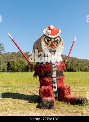 Maitland, Nouvelle-Galles du Sud, Australie. Déc 13, 2021 exposition de Noël d'art de balle de foin le long d'une autoroute. balles de foin peintes célébrant la saison des fêtes. Banque D'Images