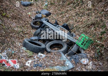 Vieux pneus de voiture usagés dans la forêt. Déversement illégal de pneus dans la nature. Pollution de l'environnement Banque D'Images