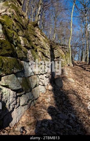 Anciens fragments de mur rocheux dans la forêt protégeant la route du glissement de terrain. Barrière en pierre Banque D'Images