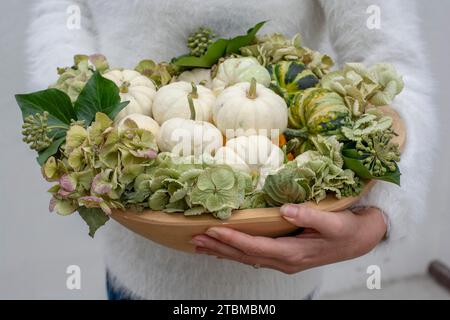 Femme méconnaissable tenant de petites citrouilles blanches mûres fraîches. Citrouilles naines décoratives organiques dans une auge en bois Banque D'Images