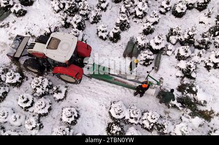Marlow, Allemagne. 05 décembre 2023. Les arbres de Noël sont emballés pour le transport sur une plantation enneigée à Ostseetanne. Les chutes de neige massives de ces derniers jours ont fait de cette saison la plus difficile à ce jour pour l’entreprise. La neige rend les arbres plus lourds de dix kilogrammes dans le filet et les marques sont difficiles à voir. Environ 140 000 nouveaux arbres sont plantés à Ostseetanne chaque année. (Vue aérienne avec un drone/copter) crédit : Bernd Wüstneck/dpa/Alamy Live News Banque D'Images