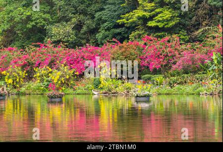 Pots de plantes et de fleurs flottant sur l'eau Banque D'Images