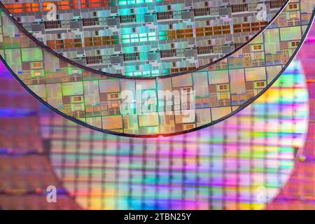 Plaquettes de silicium avec micropuces utilisées dans l'électronique pour la fabrication de circuits intégrés Banque D'Images