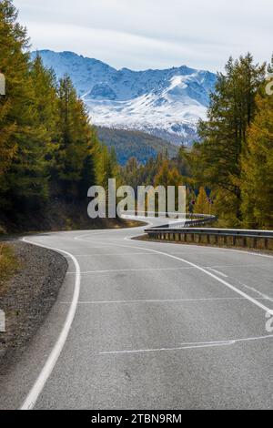 Route sinueuse à travers les forêts de mélèze d'automne avec les montagnes enneigées de l'Altaï au loin Banque D'Images