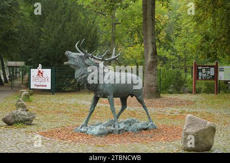 Bronze Skulptur Hirsch, Tierpark, Puschkinallee, Angermünde, Brandenburg, Deutschland Banque D'Images