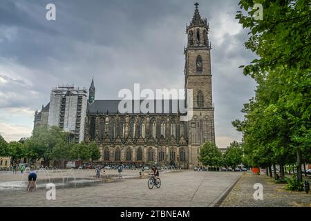 Magdeburger Dom, Am Dom, Magdeburg, Sachsen-Anhalt, Allemagne Banque D'Images