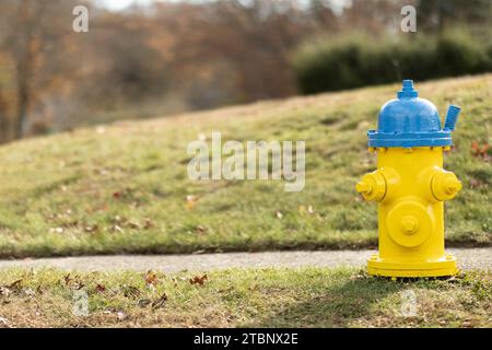 Borne d'incendie jaune et bleue sur la route résidentielle Banque D'Images