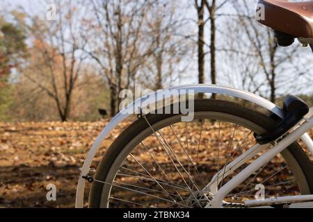 Gros plan de roue de vélo avec toile de fond d'automne Banque D'Images