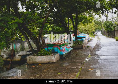 Belles scènes de pêcheurs pêchant dans leurs bateaux à Watala, Colombo, Sri Lanka Banque D'Images