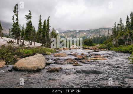 Mountain Creek dans la nature sauvage d'Indian Peaks, Colorado Banque D'Images