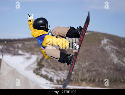 Zhangjiakou, province chinoise du Hebei. 8 décembre 2023. La chinoise CAI Xuetong participe à la finale de la demi-pipe féminine à la coupe du monde de snowboard FIS à Zhangjiakou, dans la province du Hebei, dans le nord de la Chine, le 8 décembre 2023. Crédit : Yang Shiyao/Xinhua/Alamy Live News Banque D'Images