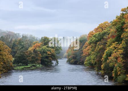 Les rives bordées d'arbres de la rivière Tees à la périphérie du château de Barnard par un jour d'automne brumeux, château de Barnard, comté de Durham, Royaume-Uni Banque D'Images