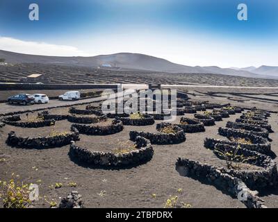 Les petits murs de SOCO construits autour des vignes pour les protéger du vent, une forme de vinification unique à la région, près de Montana Cuervo sur Lanzarote, Canar Banque D'Images