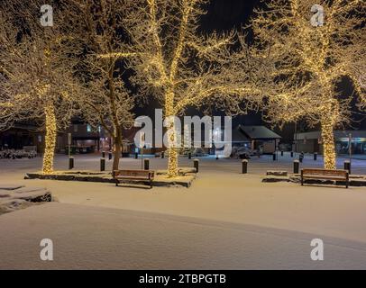 Vue de nuit des arbres décorés de Noël sur Civic Plaza à Canmore, Alberta, Canada Banque D'Images