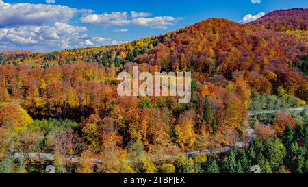 Une vue aérienne d'un paysage montagneux vibrant en automne en Roumanie Banque D'Images