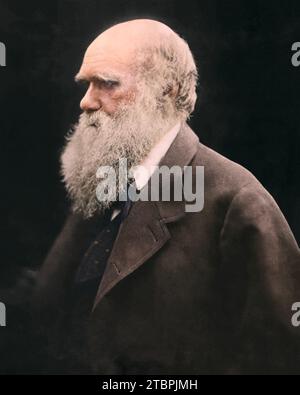 Charles Darwin. Date : c. 1868, imprimé en 1875. Par Julia Margaret Cameron. Banque D'Images