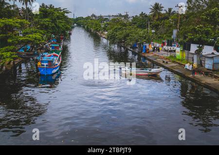 Belles scènes de pêcheurs pêchant dans leurs bateaux à Watala, Colombo, Sri Lanka Banque D'Images