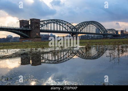 Le Suedbruecke, pont ferroviaire sur le Rhin se reflète dans les eaux de crue, Cologne, Allemagne. Die Suedbruecke spiegelt sich im Hochwasser, Eisenba Banque D'Images