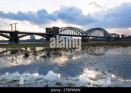 Le Suedbruecke, pont ferroviaire sur le Rhin se reflète dans les eaux de crue, Cologne, Allemagne. Die Suedbruecke spiegelt sich im Hochwasser, Eisenba Banque D'Images