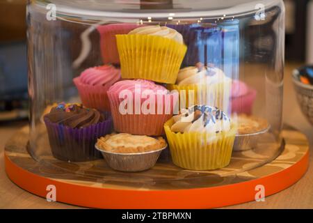 Une sélection de cupcakes colorés et de tartes hachées enrobées de papier métallisé sous un présentoir à gâteaux en verre. Banque D'Images