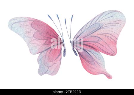 Les papillons sont roses, bleus, lilas, volants, délicats avec des ailes et des éclaboussures de peinture. Illustration à l'aquarelle dessinée à la main. Ensemble d'éléments isolés activé Banque D'Images