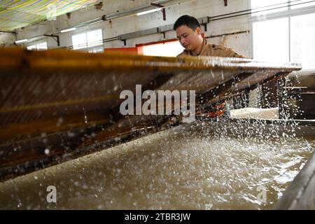 (231208) -- JINGXIAN, 8 déc. 2023 (Xinhua) -- Guan Jiaming plonge un moule en bois dans un réservoir pour collecter de la pâte à papier dans un atelier de papier Xuan dans le comté de Jingxian, dans la province d'Anhui, dans l'est de la Chine, le 7 décembre 2023. Le papier Xuan, un type de papier fait à la main, a été produit à l'origine dans la Chine ancienne et utilisé pour la calligraphie chinoise et les peintures. La procédure de fabrication du papier Xuan a été classée patrimoine culturel mondial immatériel par l'UNESCO en 2009. Jingxian, un comté sous la ville de Xuancheng dans la province d'Anhui, est l'endroit même où le papier Xuan a été inventé. Guan Jiaming, responsable du moule à papier Banque D'Images