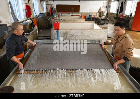 (231208) -- JINGXIAN, 8 déc. 2023 (Xinhua) -- Guan Jiaming (à droite) et son collègue plongent un moule en bois dans un réservoir pour collecter de la pâte à papier dans un atelier de papier Xuan dans le comté de Jingxian, dans la province d'Anhui, dans l'est de la Chine, le 7 décembre 2023. Le papier Xuan, un type de papier fait à la main, a été produit à l'origine dans la Chine ancienne et utilisé pour la calligraphie chinoise et les peintures. La procédure de fabrication du papier Xuan a été classée patrimoine culturel mondial immatériel par l'UNESCO en 2009. Jingxian, un comté sous la ville de Xuancheng dans la province d'Anhui, est l'endroit même où le papier Xuan a été inventé. Guan Jiaming, qui est en char Banque D'Images