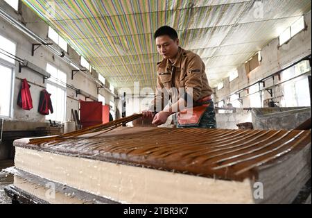 (231208) -- JINGXIAN, 8 décembre 2023 (Xinhua) -- Guan Jiaming vérifie la pâte à papier condensée dans un atelier de papier Xuan dans le comté de Jingxian, dans la province d'Anhui, dans l'est de la Chine, le 7 décembre 2023. Le papier Xuan, un type de papier fait à la main, a été produit à l'origine dans la Chine ancienne et utilisé pour la calligraphie chinoise et les peintures. La procédure de fabrication du papier Xuan a été classée patrimoine culturel mondial immatériel par l'UNESCO en 2009. Jingxian, un comté sous la ville de Xuancheng dans la province d'Anhui, est l'endroit même où le papier Xuan a été inventé. Guan Jiaming, responsable du processus de moulage du papier dans un atelier Banque D'Images