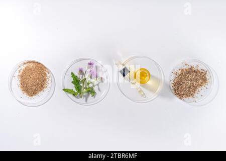 Fournitures de chardon de lait, poudre et huile. Silybum marianum, superaliment biologique naturel de fleurs sauvages - graines entières et de grains, pilules, huile avec frais Banque D'Images