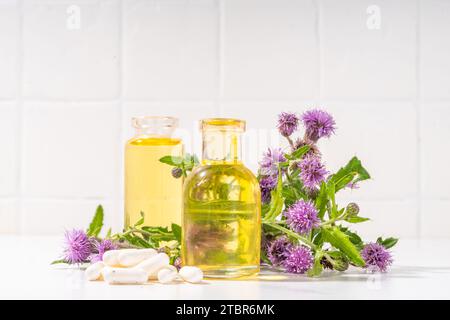 Fournitures de chardon de lait, poudre et huile. Silybum marianum, superaliment biologique naturel de fleurs sauvages - graines entières et de grains, pilules, huile avec frais Banque D'Images