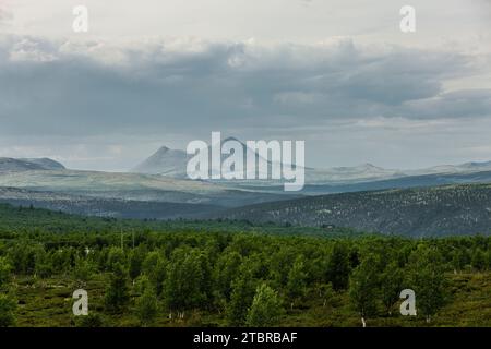 Paysage dans le parc national de Rondane en Norvège Banque D'Images