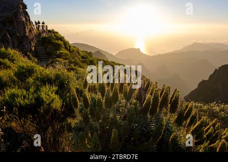 Randonneurs au lever du soleil sur Pico Arieiro, Miradouro do Ninho da Manta, Madère, Portugal, Europe Banque D'Images