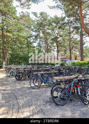 Allemagne, Mecklembourg-Poméranie occidentale, péninsule Fischland-Darß-Zingst, place de parking pour vélos à la traversée de la plage, place pour vélos pour connecter les vélos Banque D'Images