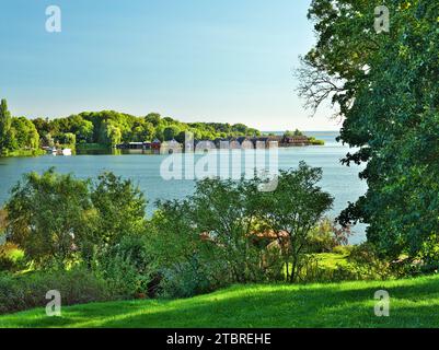 Europe, Allemagne, Allemagne du Nord, Mecklembourg-Poméranie occidentale, région des lacs de Mecklembourg, région de Müritz, parc national de Müritz, vue sur le lac Müritz depuis le Kirchberg à Röbel Banque D'Images