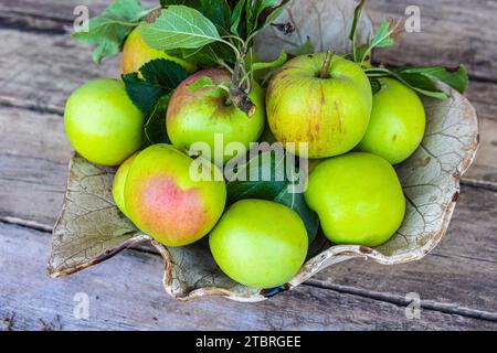 Bol maison avec des pommes sur une vieille table en bois, nature morte du jardin Banque D'Images