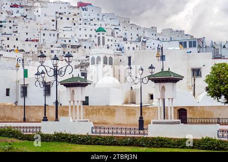 Parc feddan et maisons blanches dans la vieille ville / médina de Tétouan / Tettawen, Maroc Banque D'Images