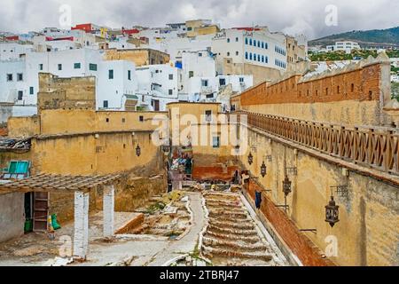Ancienne tannerie dans la médina de la ville de Tétouan / Tettawen, Maroc Banque D'Images