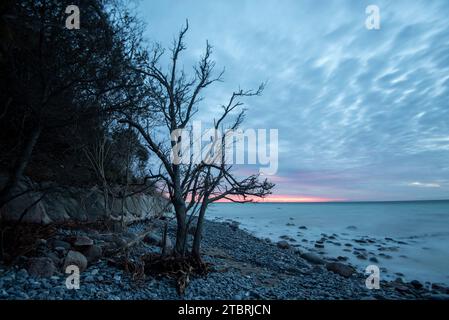 Plage près de la falaise de Möns Klint, falaises de craie, île de Mön, Danemark Banque D'Images