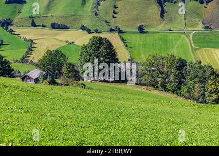Ferme alpine, Fröstlberg, Rauris, Vallée de Rauris, Pinzgau, Salzburger Land, Autriche Banque D'Images