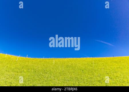 Pâturage alpin avec ciel bleu, Fröstlberg, Rauris, Vallée de Rauris, Pinzgau, Salzburger Land, Autriche Banque D'Images