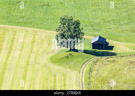 Ferme alpine, Bucheben, Rauris, Vallée de Rauris, Pinzgau, Salzburger Land, Autriche Banque D'Images