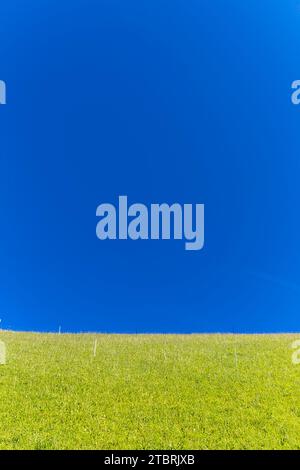 Pâturage alpin avec ciel bleu, Fröstlberg, Rauris, Vallée de Rauris, Pinzgau, Salzburger Land, Autriche Banque D'Images