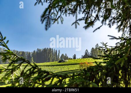 Tracteur tournant le foin, sur le pâturage alpin, Fröstlberg dans la vallée de Rauris, Rauris, Pinzgau, Salzburger Land, Autriche Banque D'Images
