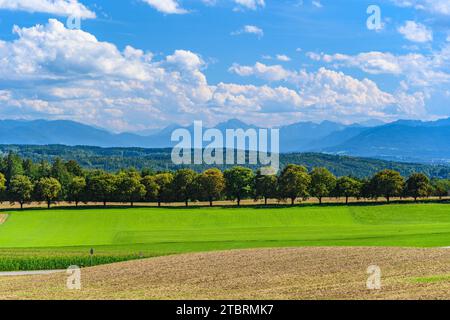 Allemagne, Bavière, Tölzer Land, Icking, Paysage culturel contre les contreforts des Alpes Banque D'Images