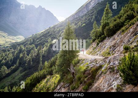 Italie, Tyrol du Sud, province de Bolzano, Val di Vizze / Pfitscher Tal, jeune coureur en VTT le long de la route forestière menant du Passo della Chiave / Schlüsseljoch Banque D'Images