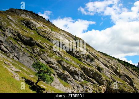 Flanc de montagne du Torkopf contre un ciel bleu-blanc, un seul érable s'accroche au terrain rocheux escarpé. Randonnée Tortal Rontal Runde, Eng, H Banque D'Images