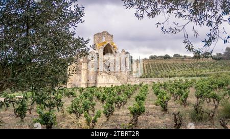 L'église notre Dame des Oubiels près du Portel des Corbières a été construite entre les XIII et XIV siècles. Il a été utilisé comme escale sur le chemin de Compostelle. Monument historique. Banque D'Images