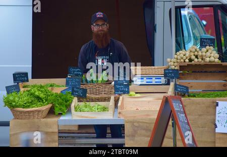 Négociant en marché français, légumes biologiques, Bretagne Bretagne, France, septembre 2023 Banque D'Images