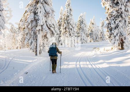 Femme avec sac à dos et bâtons de randonnée marche sur le sentier de trekking dans la forêt enneigée. Marche nordique hivernale dans la neige à la montagne Banque D'Images